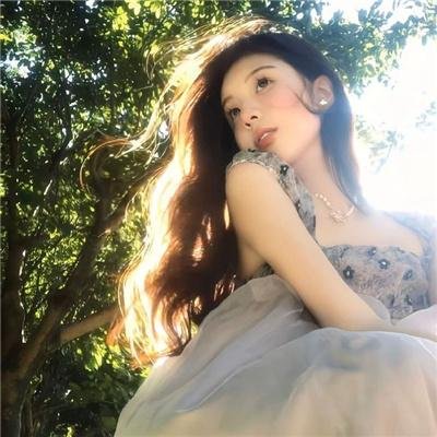 聪明的小母鸡